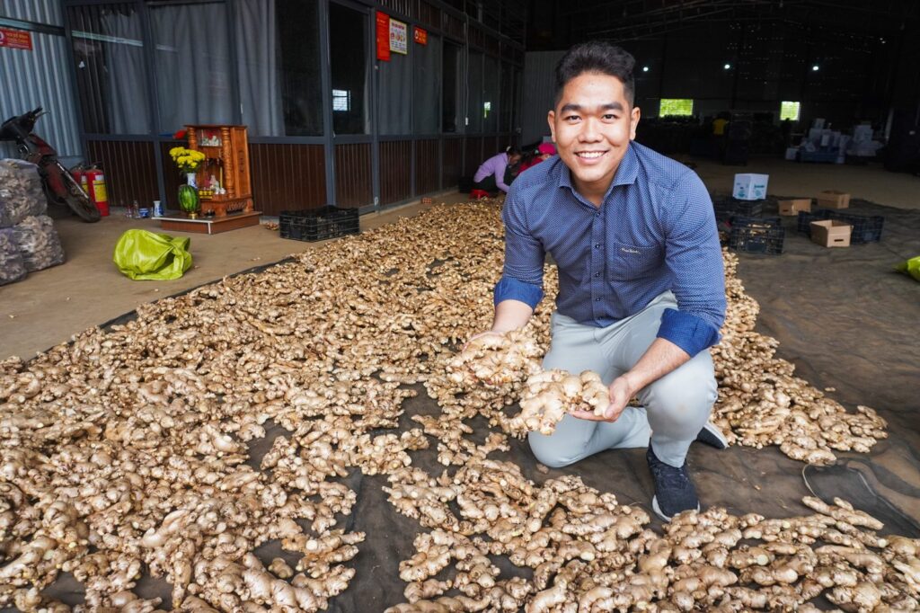 Liam Phan with fresh Vietnamese ginger at a warehouse