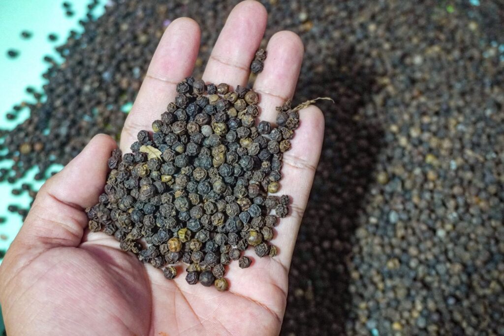 A handful of black pepper held over the lot