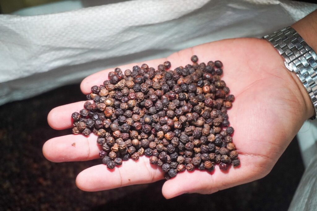 Close-up of large black pepper berries