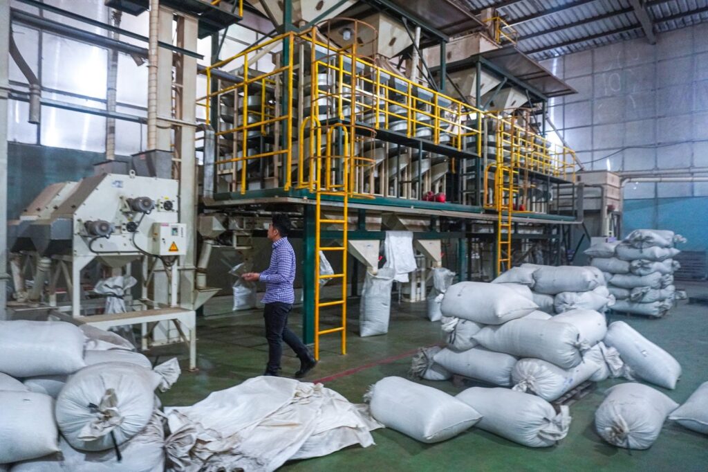 Pepper cleaning and packing line