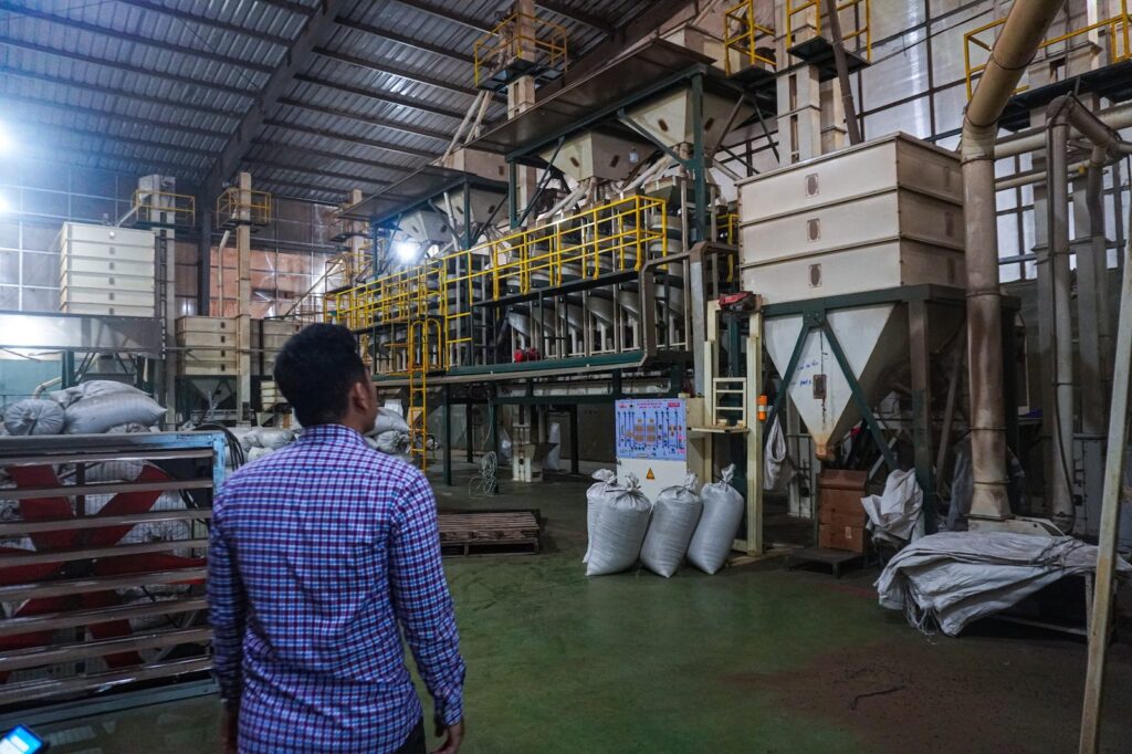 A pepper processing line