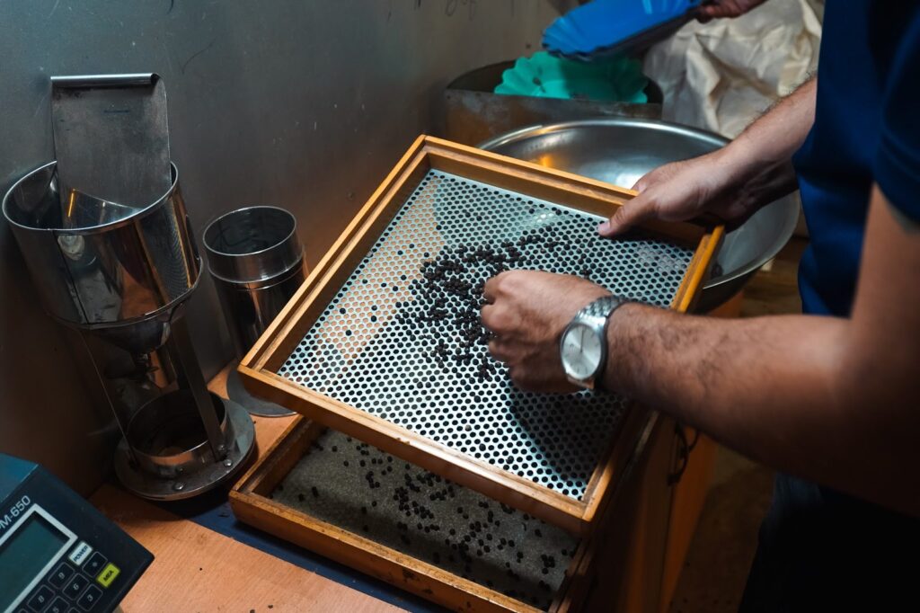 Screening a black pepper sample by size