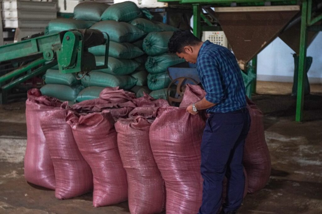 Checking bags of pepper at the warehouse