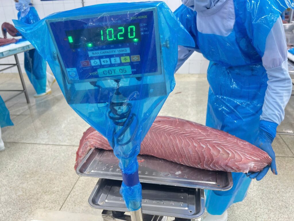 Every loin is weighed